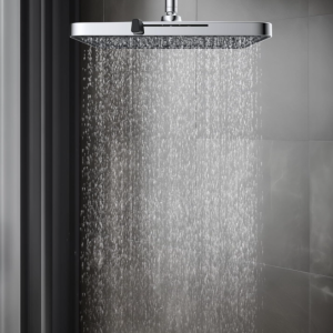 5-Spray Modes High Pressure Large Rainfall Bathroom Fixed Showerhead with Adjustable Swivel Ball Joint, Chrome